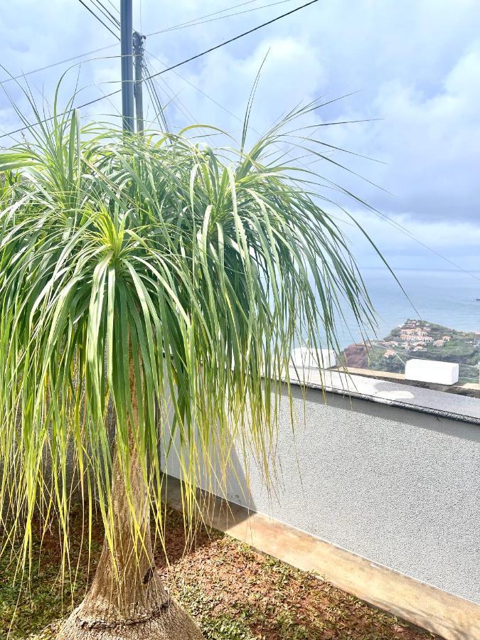 Cassolino * Ribeira Brava